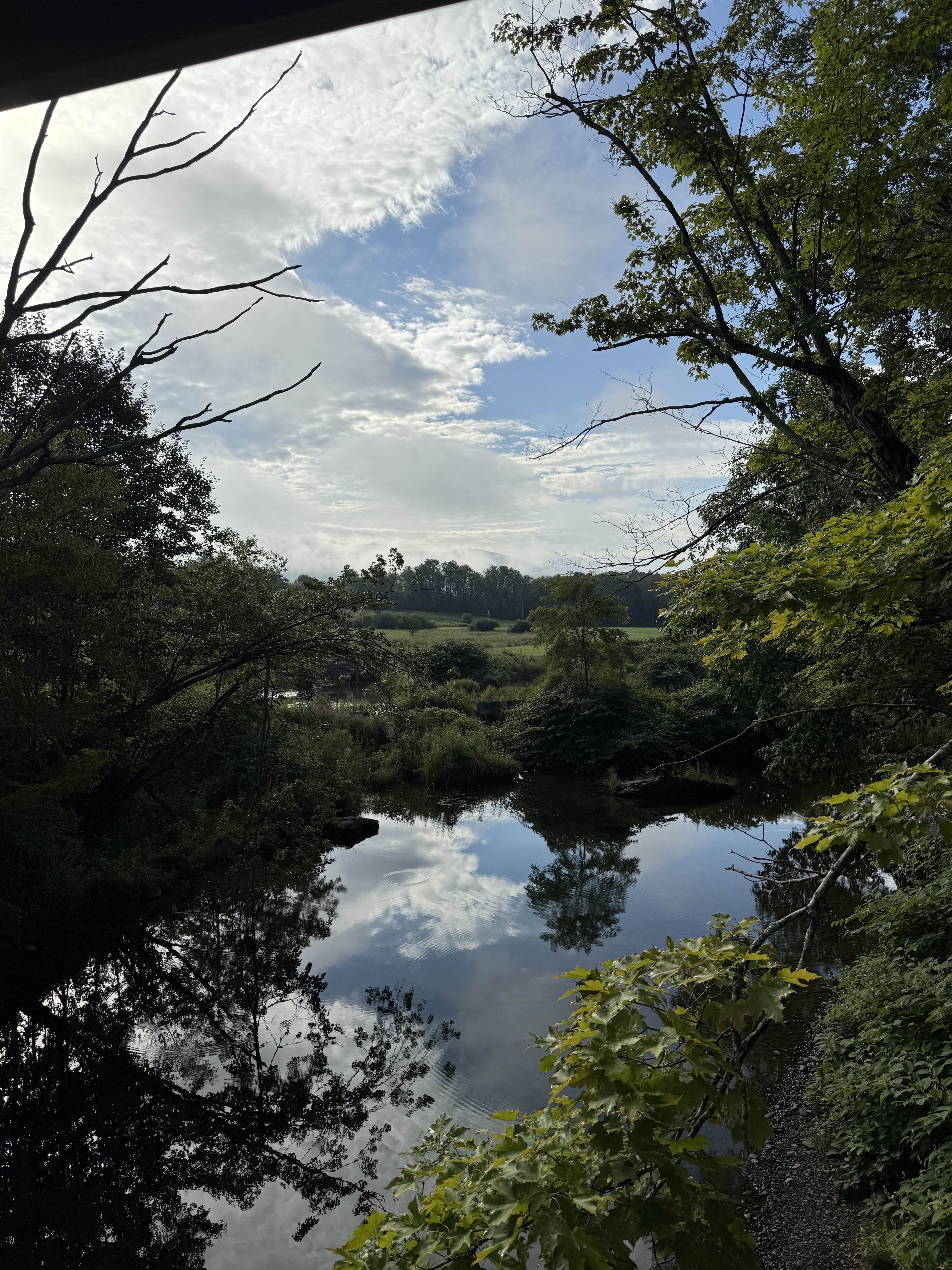 ... and the view from said bridge