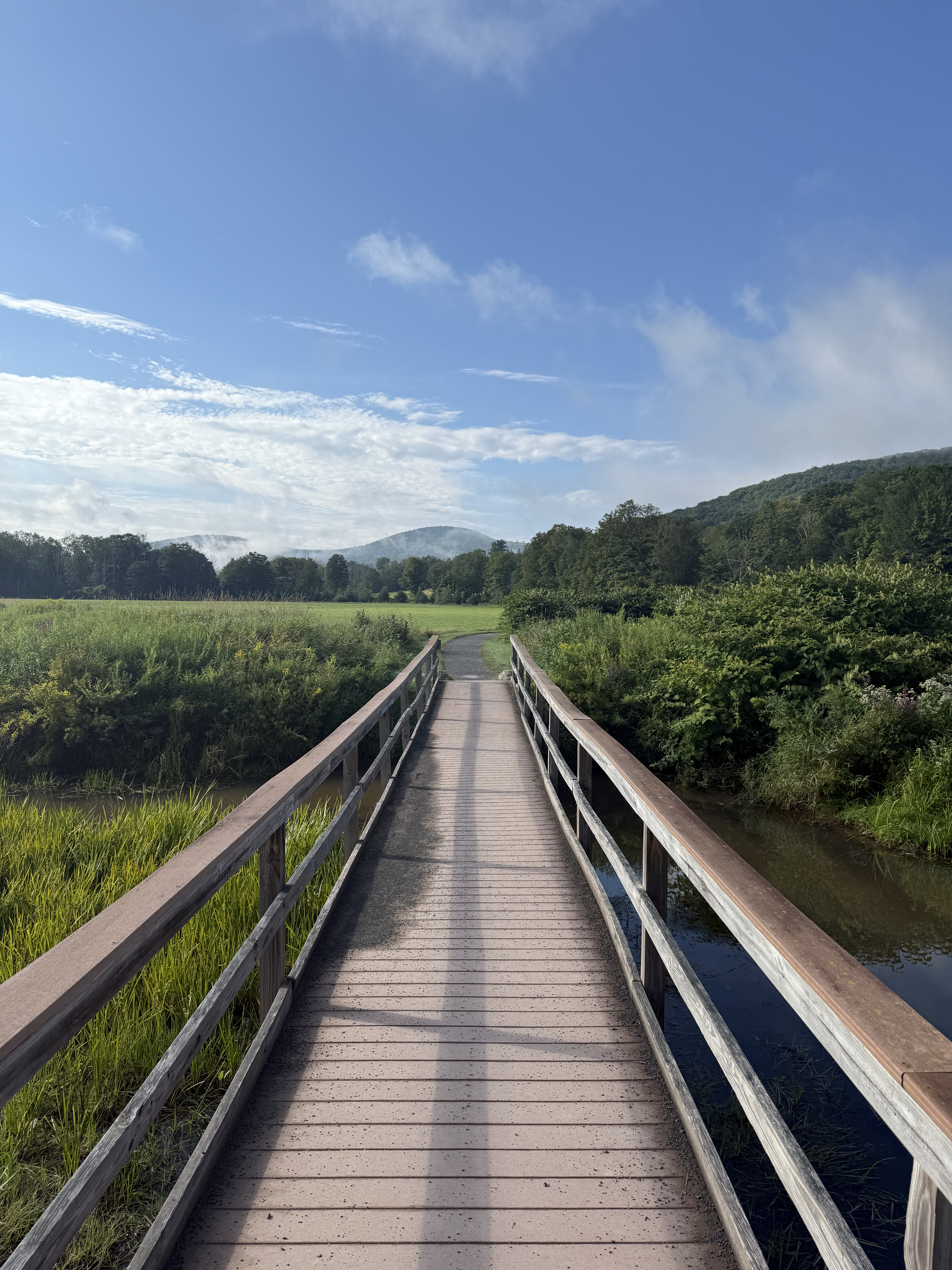 Opening into a clearing farther along the trail