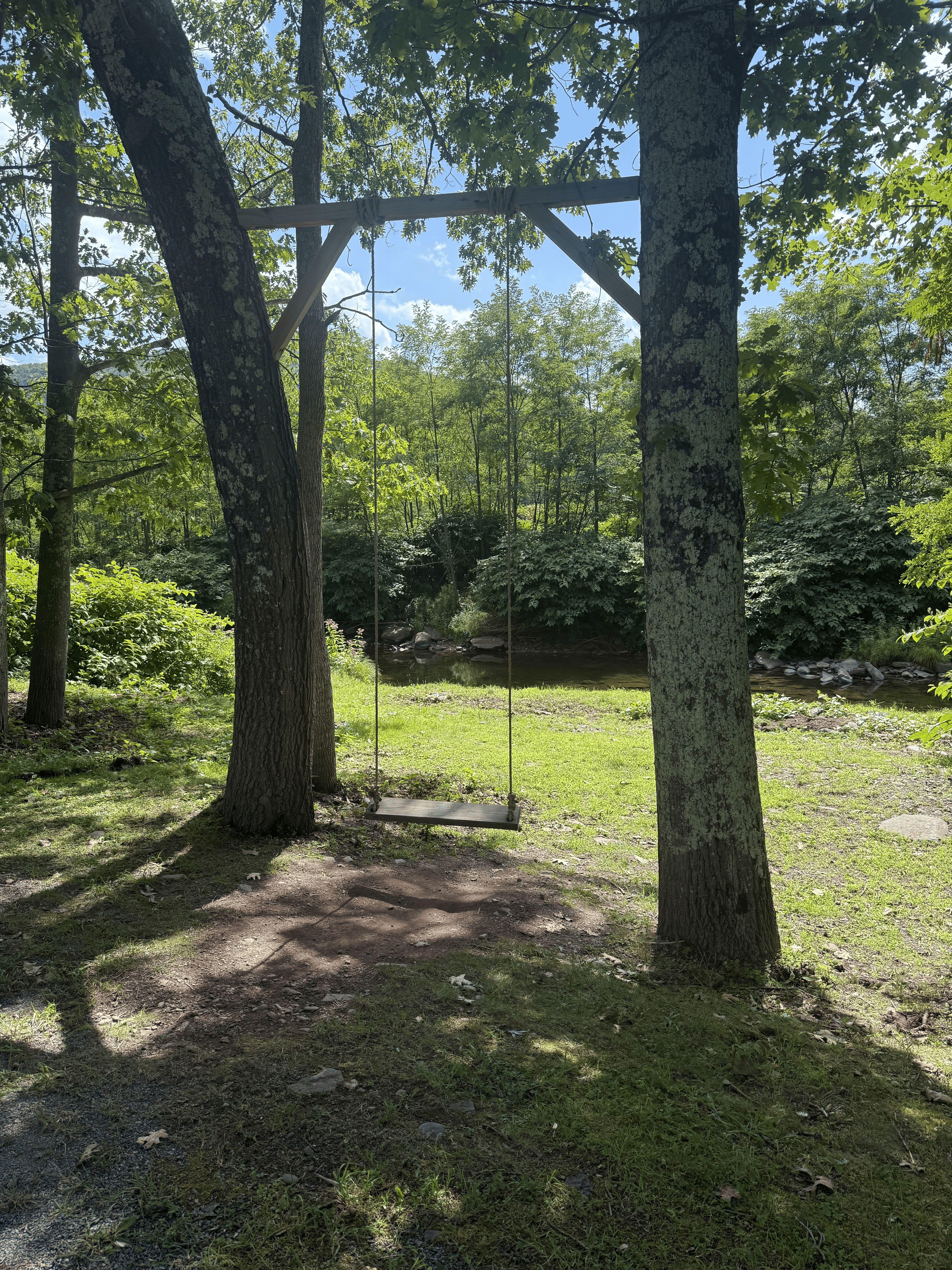 A swing by a creek on the hotel grounds (very naruto vibes)