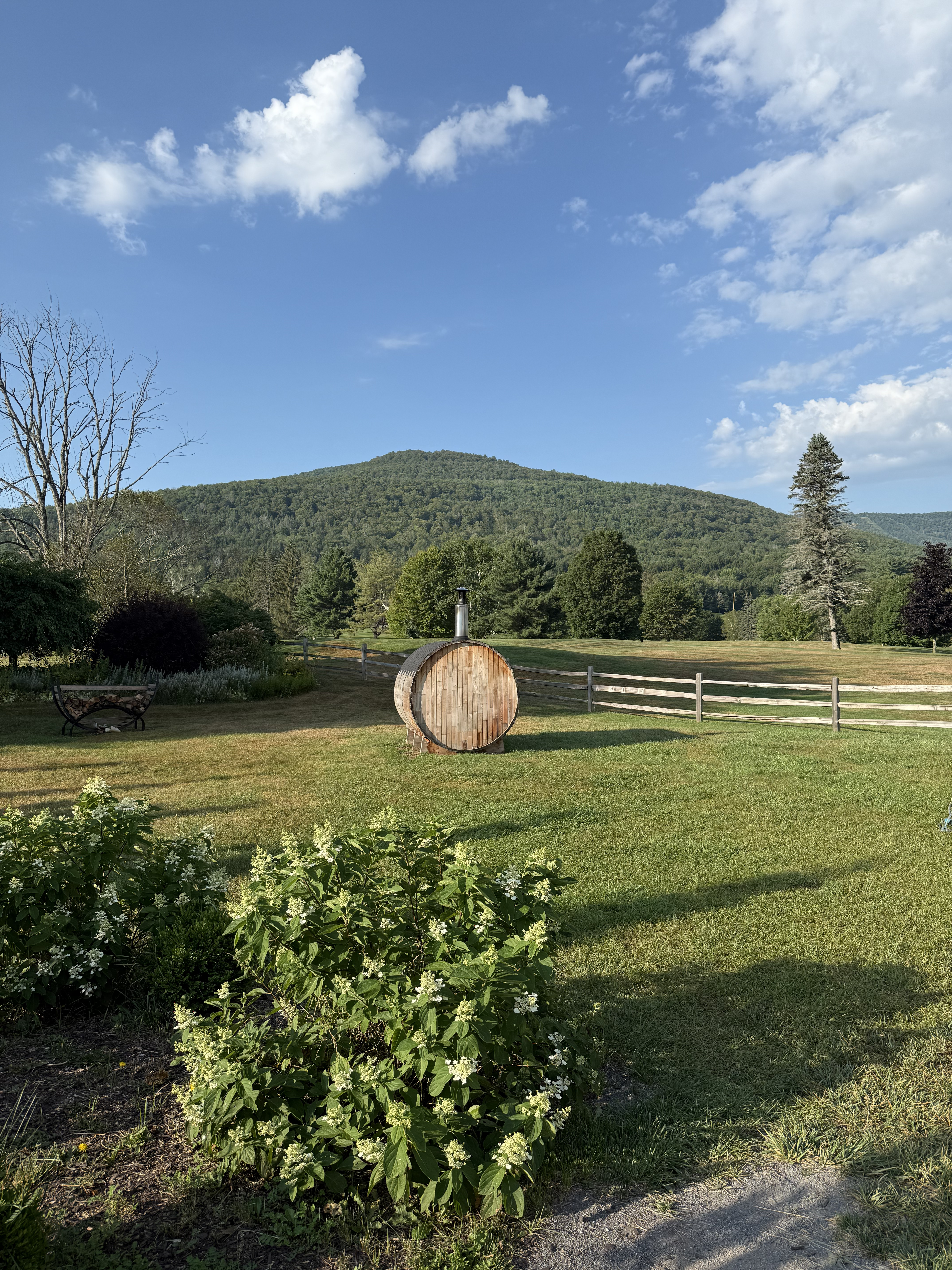 Another picture of the mountain once we got outside