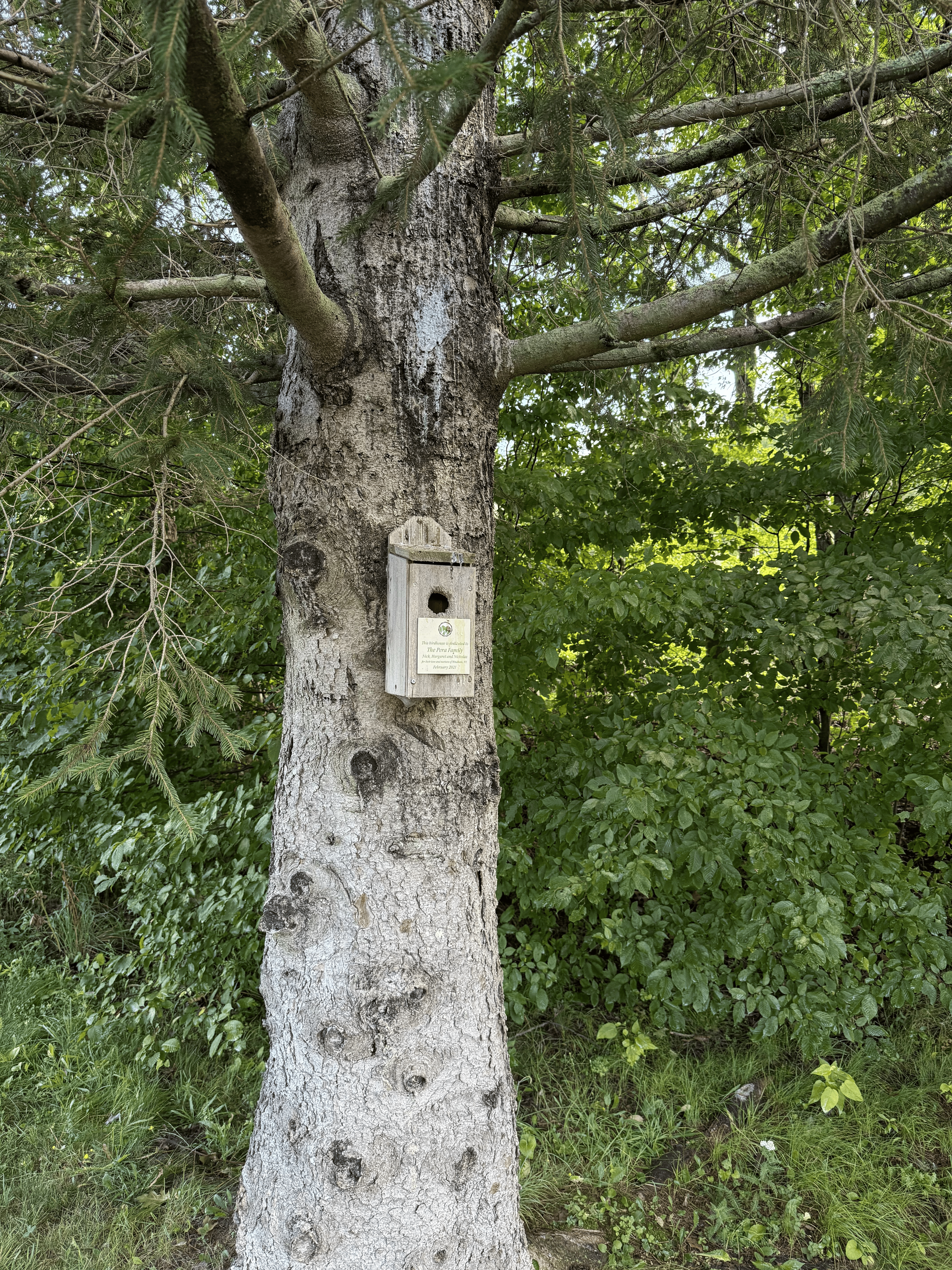 A birdfeeder on the trail dedicated by a community member